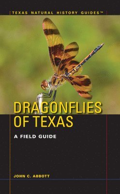 Dragonflies of Texas 1