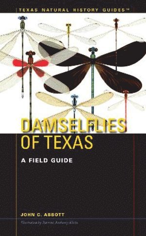 bokomslag Damselflies of Texas