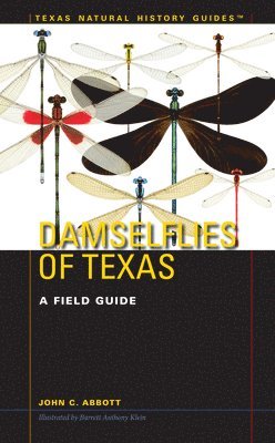 Damselflies of Texas 1