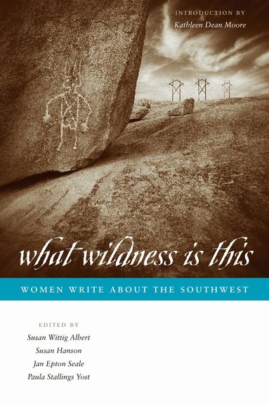 Susan Wittig Albert, Susan Hanson, Jan Epton Seale, Paula Stallings Yost - What Wildness Is This, Häftad
