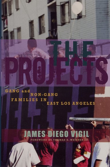 James Diego Vigil - Projects, Häftad