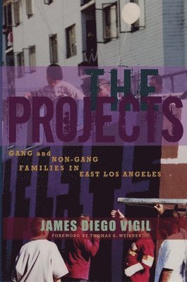 The Projects 1