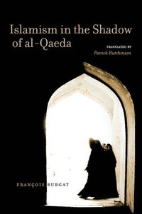 bokomslag Islamism in the Shadow of al-Qaeda
