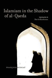 bokomslag Islamism in the Shadow of al-Qaeda