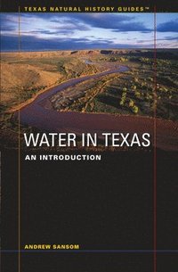 bokomslag Water in Texas