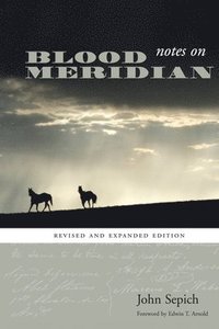 bokomslag Notes on Blood Meridian