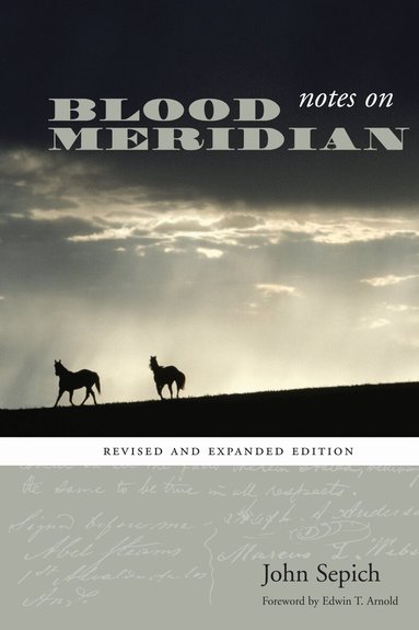 John Sepich - Notes on Blood Meridian, Häftad