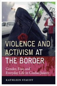 bokomslag Violence and Activism at the Border