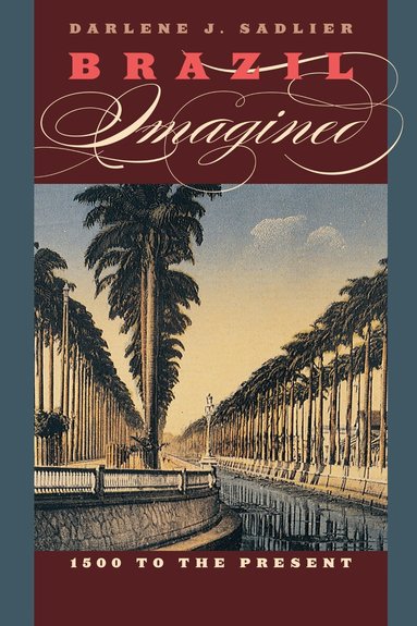 Darlene J. Sadlier - Brazil Imagined, Häftad