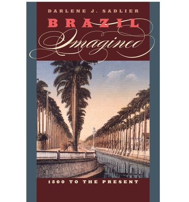 bokomslag Brazil Imagined