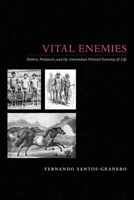 Fernando Santos-Granero - Vital Enemies, Häftad