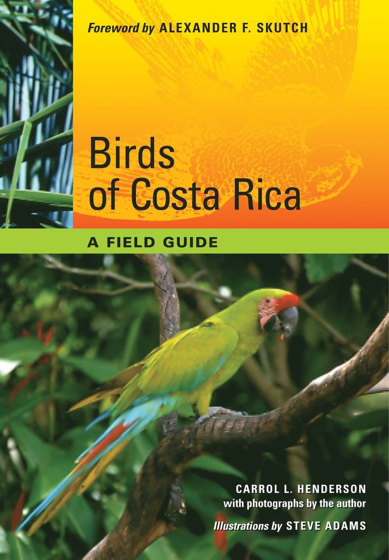 Birds of Costa Rica 1