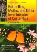 bokomslag Butterflies, Moths, and Other Invertebrates of Costa Rica