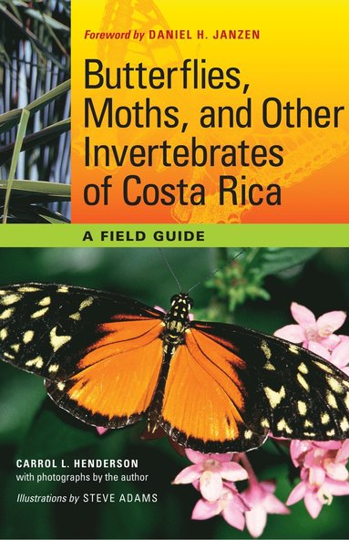 bokomslag Butterflies, Moths, and Other Invertebrates of Costa Rica