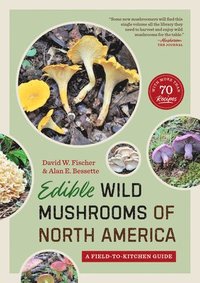 bokomslag Edible Wild Mushrooms of North America