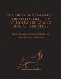bokomslag The Chora of Metaponto 2