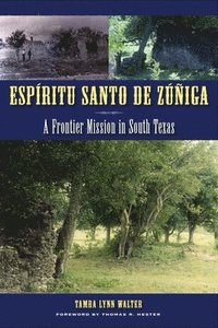 bokomslag Espritu Santo de Ziga