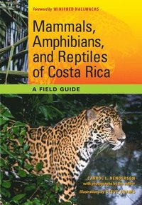 bokomslag Mammals, Amphibians, and Reptiles of Costa Rica