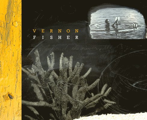 Vernon Fisher 1