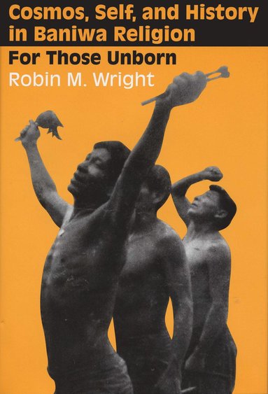bokomslag Cosmos, Self, and History in Baniwa Religion