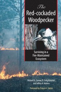 bokomslag The Red-cockaded Woodpecker