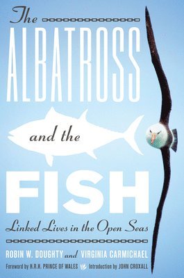 The Albatross and the Fish 1