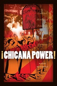 bokomslag Chicana Power!