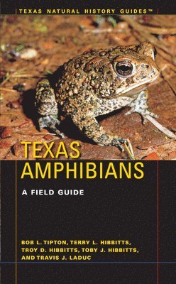 bokomslag Texas Amphibians