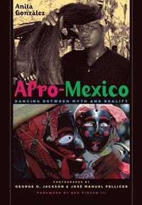 bokomslag Afro-Mexico