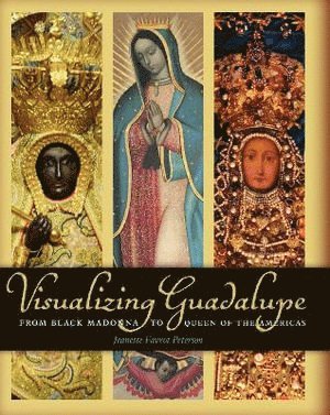 Jeanette Favrot Peterson - Visualizing Guadalupe, Inbunden