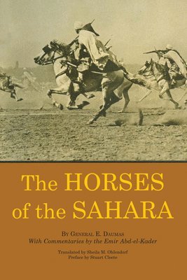 The Horses of the Sahara 1