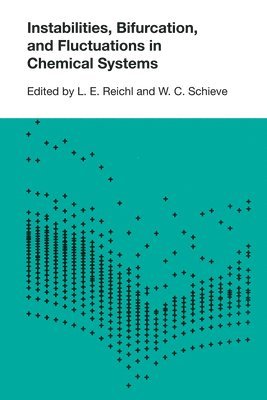 L. E. Reichl, William C. Schieve - Instabilities, Bifurcations, and Fluctuations in Chemical Systems, Häftad