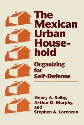 bokomslag The Mexican Urban Household