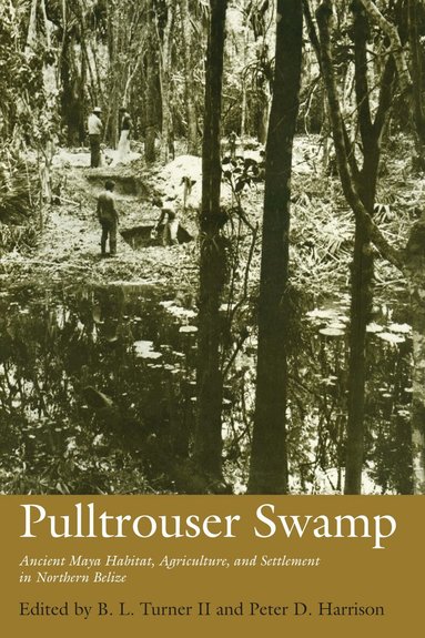 B. L. Turner, Peter D. Harrison - Pulltrouser Swamp, Häftad