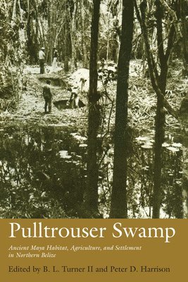 Pulltrouser Swamp 1