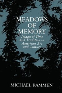 bokomslag Meadows of Memory