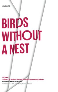bokomslag Birds Without a Nest