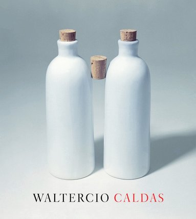 Waltercio Caldas, Blanton Museum of Art, Gabriel Pérez-Barreiro, Richard Shiff, Robert Storr - Waltercio Caldas, Inbunden