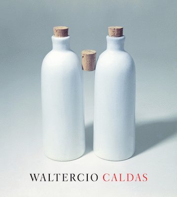 bokomslag Waltercio Caldas