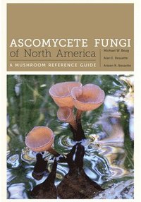 bokomslag Ascomycete Fungi of North America