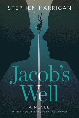 bokomslag Jacob's Well