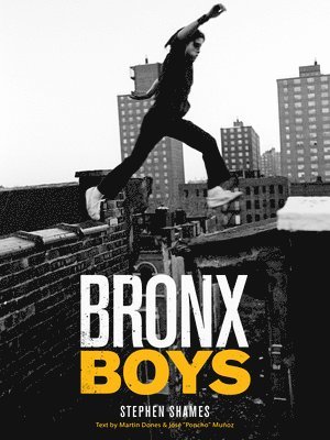 bokomslag Bronx Boys