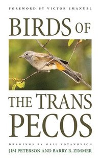 bokomslag Birds of the Trans-Pecos