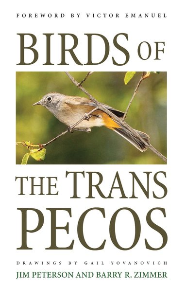 bokomslag Birds of the Trans-Pecos