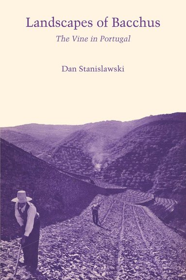 bokomslag Landscapes of Bacchus