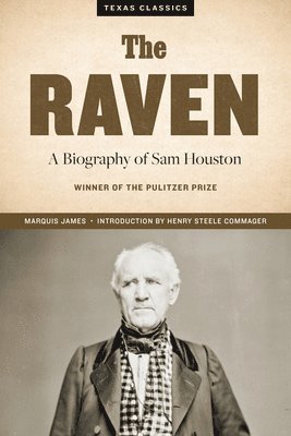 bokomslag Raven