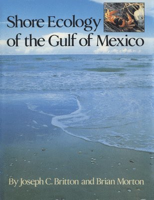 bokomslag Shore Ecology of the Gulf of Mexico