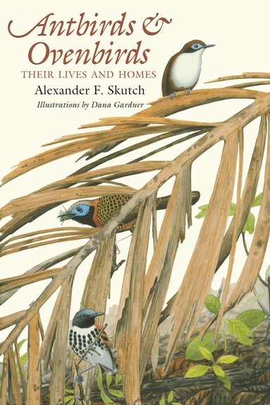 Alexander F. Skutch - Antbirds and Ovenbirds, Häftad