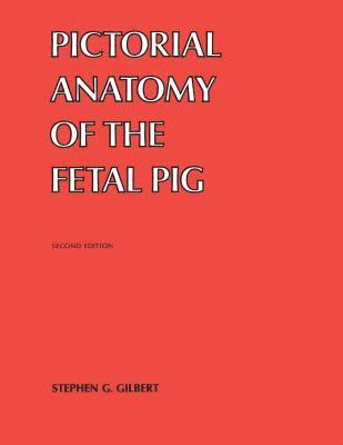 bokomslag Pictorial Anatomy of the Fetal Pig