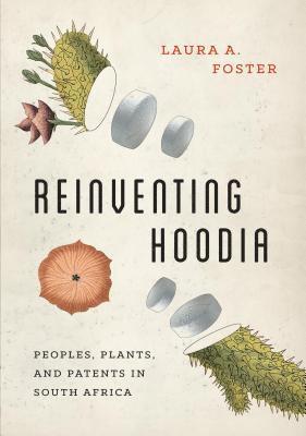 Reinventing Hoodia 1